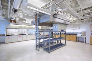 Higgins Lab