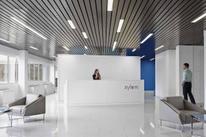 Xylem reception area