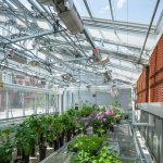 BU Research Green House @JaggerFoto