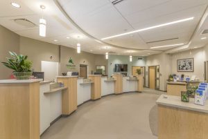 bfcuventurelobby-1