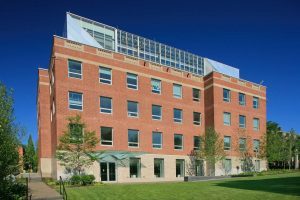 Brown Hunter Lab_Exterior 5343_Ext2