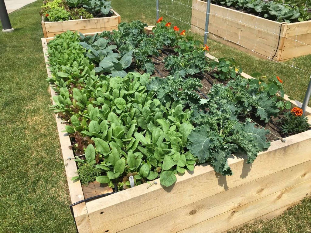 food-production_3310