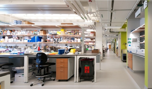 harvard_sherman-fairchild_lab-space
