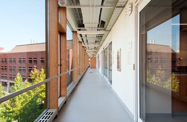 harvard_sherman-fairchild_windows