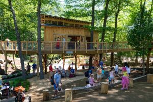 JM Coull_Discovery Woods_8-2-16