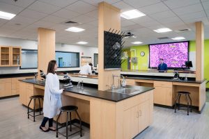 Mount Ida School of Applied Science/photo by Warren Patterson