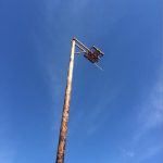Osprey+Platform