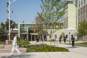 MMA Entry and Connector/Christopher Harting Photography