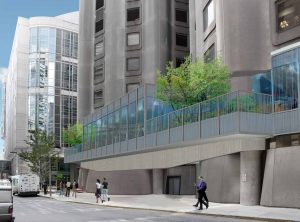 Shattuck Street Perspective