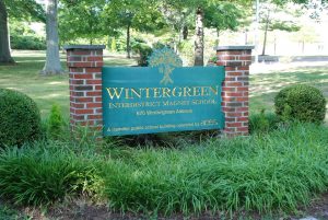 Wintergreen 015