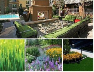 greenscape_blog_picture_R2