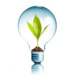 lightbulb